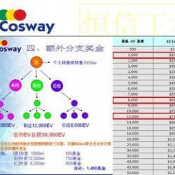 太陽(yáng)線(xiàn)直銷(xiāo)軟件專(zhuān)業(yè)定制開(kāi)發(fā)全解析 從廠家選擇到價(jià)格評(píng)估