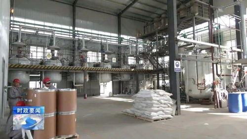 牢記囑托 乘勢而上 李哲調(diào)研城西機(jī)電化工產(chǎn)業(yè)集聚區(qū)，強(qiáng)調(diào)安全高效推動(dòng)化工生產(chǎn)