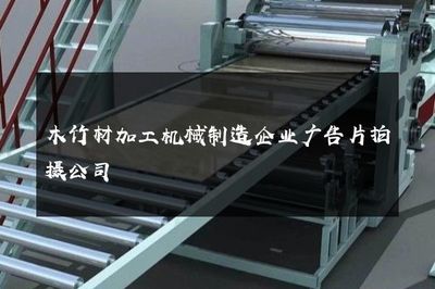 智造未來，共筑綠色家園——專業(yè)木竹材加工機(jī)械制造企業(yè)廣告片拍攝服務(wù)